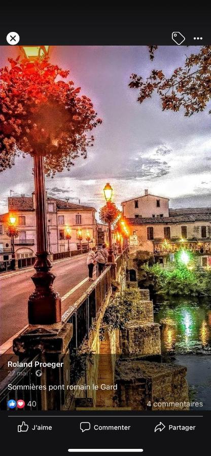 La Sommieroise Βίλα Sommières Εξωτερικό φωτογραφία